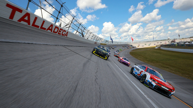 NASCAR race cars driving on Talladega