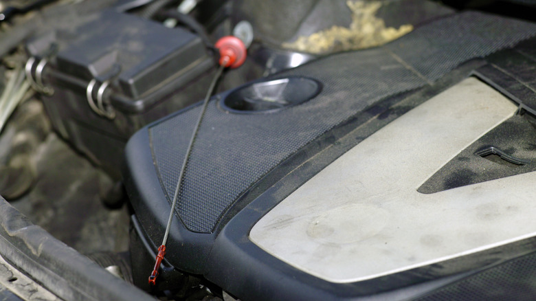 An engine oil dipstick lays on the cover of an engine in an open engine bay.