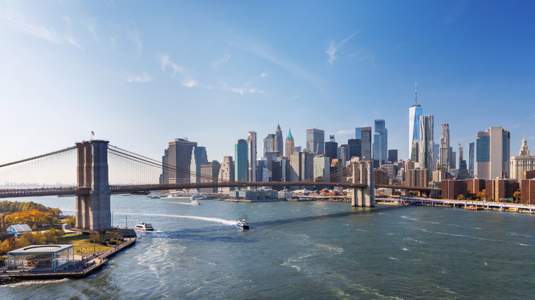 View of Manhattan, the Brooklyn Bridge, and DUMBO in Brooklyn
