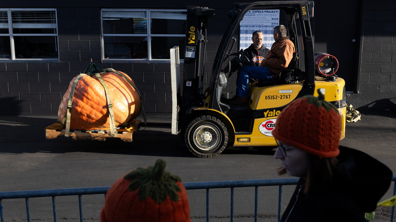 A pumpkin is transported with a fork lift at the 53rd Annual World Championship Pumpkin Weigh-Off on October 12, 2026 in Half Moon Bay, California