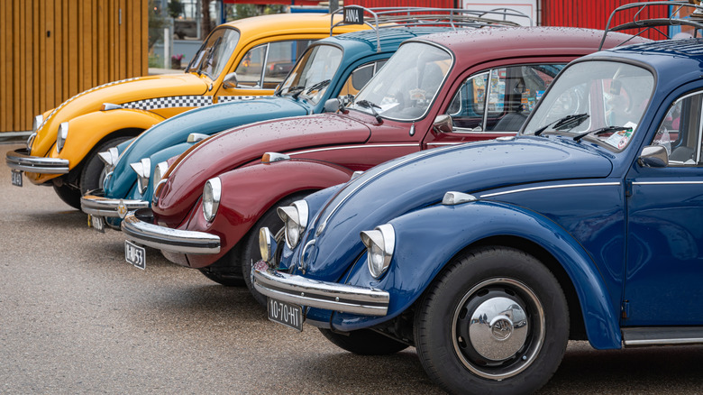 Scheveningen The Hague, The Netherlands, 25.05.2025, Classic vintage Volkswagen Beetle cars in a row, displayed at The Aircooled classic car show