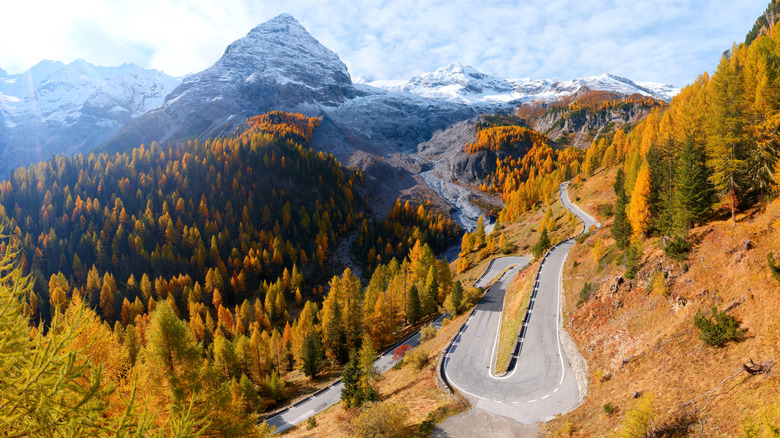 This breathtaking aerial photograph captures the legendary Stelvio Pass (Passo dello Stelvio), one of the most famous mountain roads in the world, during the autumn season in the Italian Alps.
