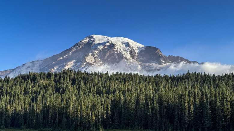 clear view of Mount Rainier, considered an active volcano rising to 14,410 feet above sea level, is pictured from Reflection Lakes on August 29, 2024, near Ashford, Washington.