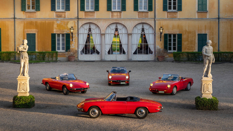 A bunch of red Alfa Romeo Spiders