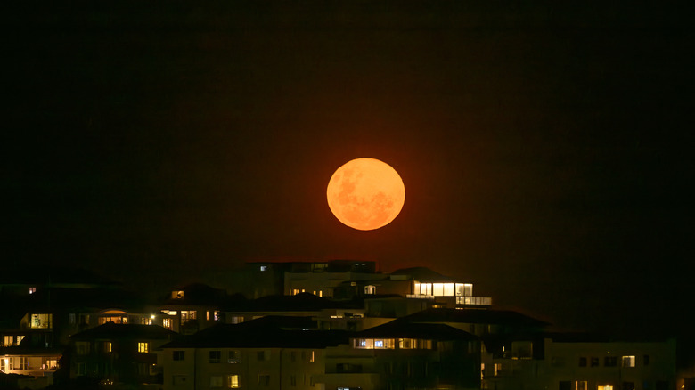 An orange supermoon