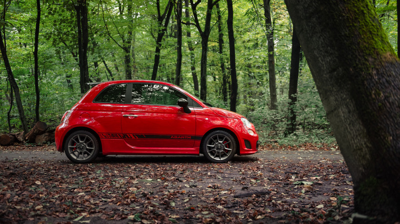 A fiat 500 Abarth driving through the woods