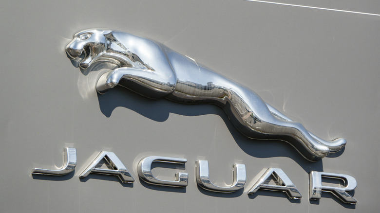 A jaguar leaping in the brand's logo