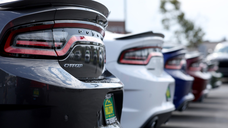 The rear end of several Dodge Chargers parking in a new car lot