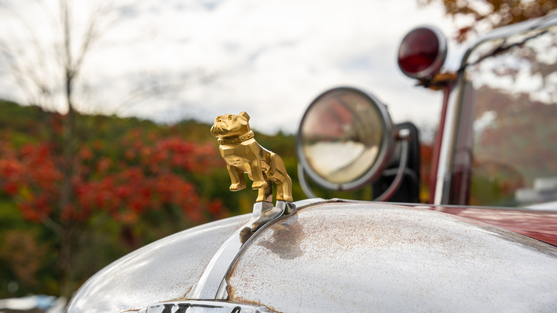 The Mack Truck bulldog mounted on an old truck hood