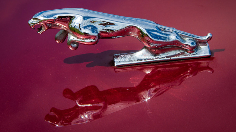 Jaguar Leaper hood ornament