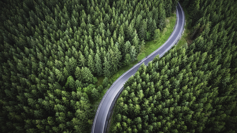 winding mountain road (drone view)