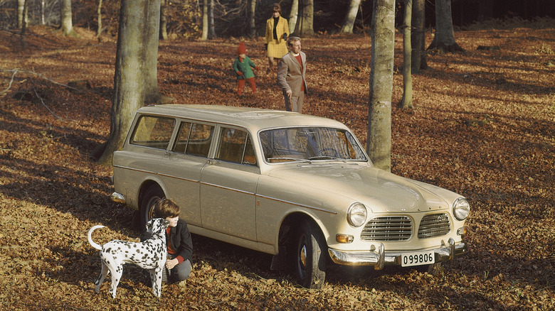 A Volvo Amazon wagon parked in the woods