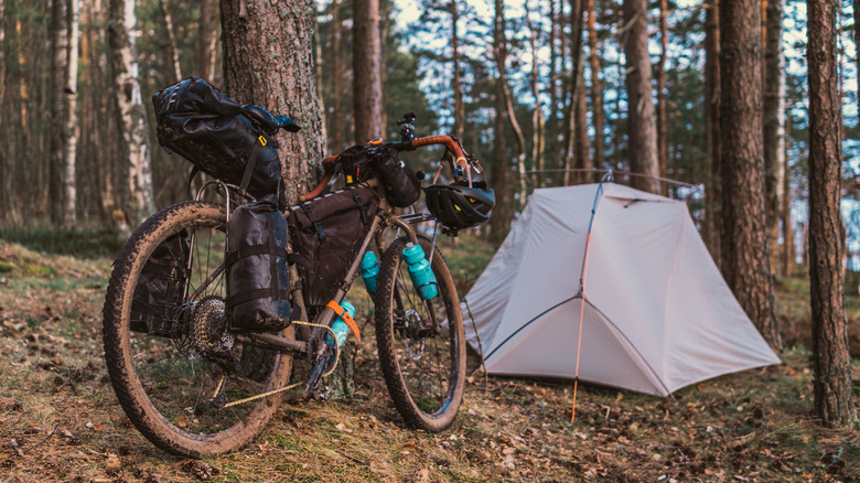 Touring motorcycle pinch bags. Bikepacking