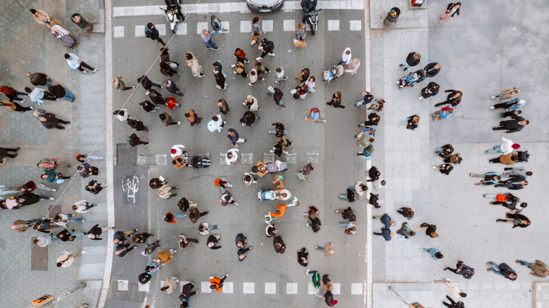 Pedestrian crowd crossing crosswalk, apical view