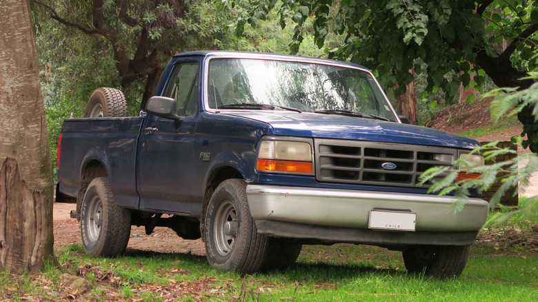 A blue 1996 Ford F150 in a forest