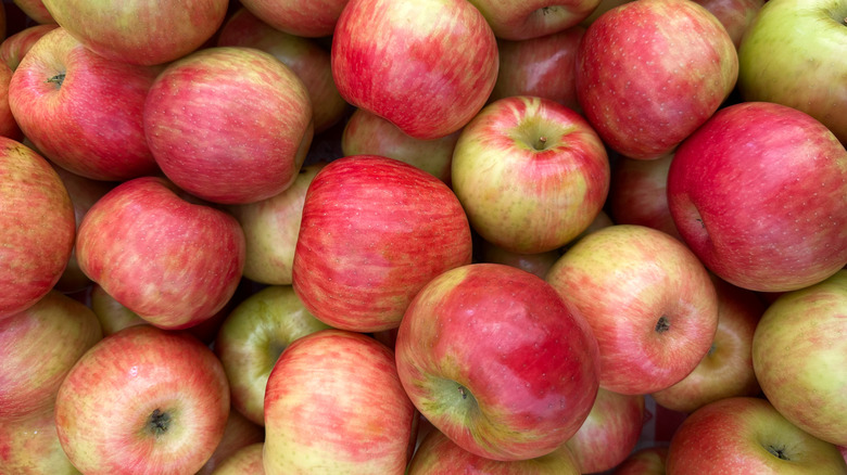 A vibrant, overhead, full-frame shot of a pile of freshly picked Honeycrisp apples, displaying a mix of red blush and yellow-green skin.