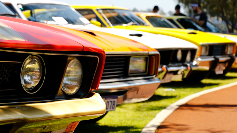 A close-up of the hoods of colorful line of muscle cars lined up outside.
