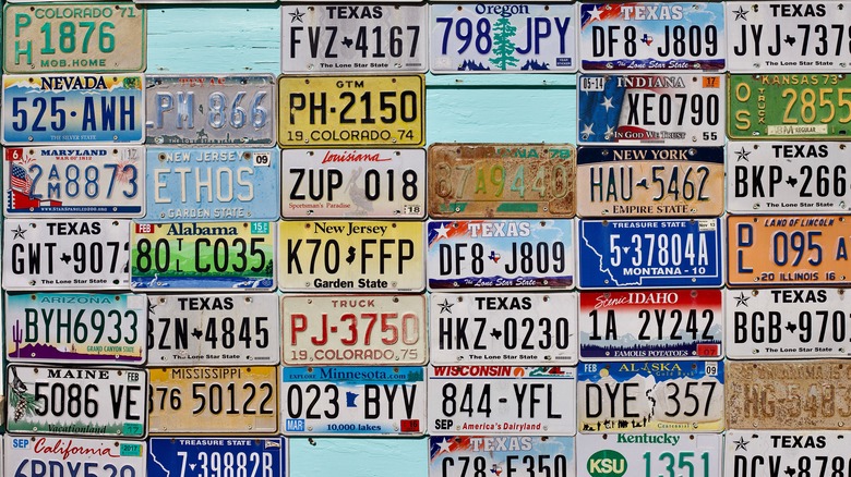 A collection showcasing U.S. state license plates.