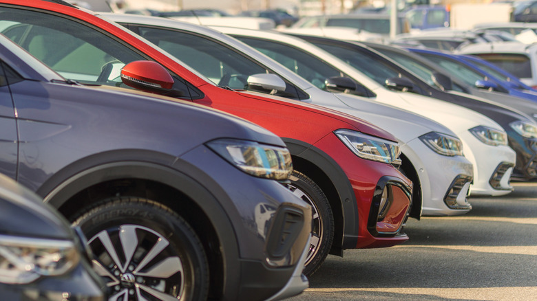 Used cars parked in a row in a public dealership