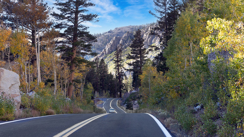 Image of winding road on Sonora Pass.