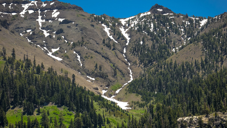 Image of Sonora Pass.