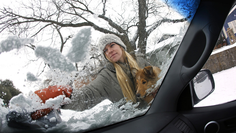 lady holds her dog as she clears snow from her windshield