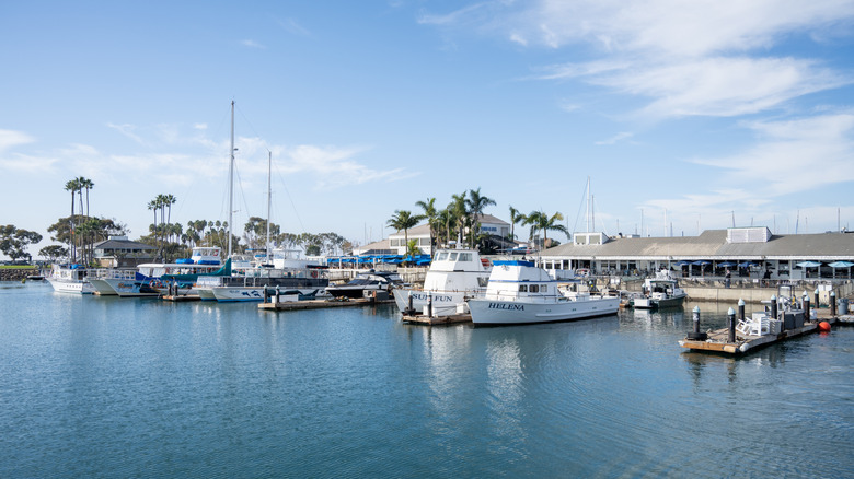 Boats in a marina