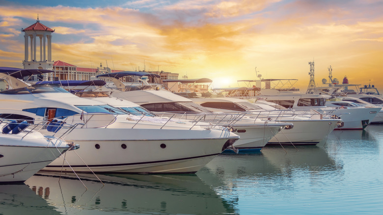 Boats docked in a marina
