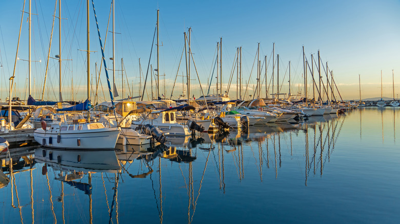 Boats in a marina