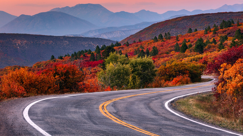 a mountain road in fall