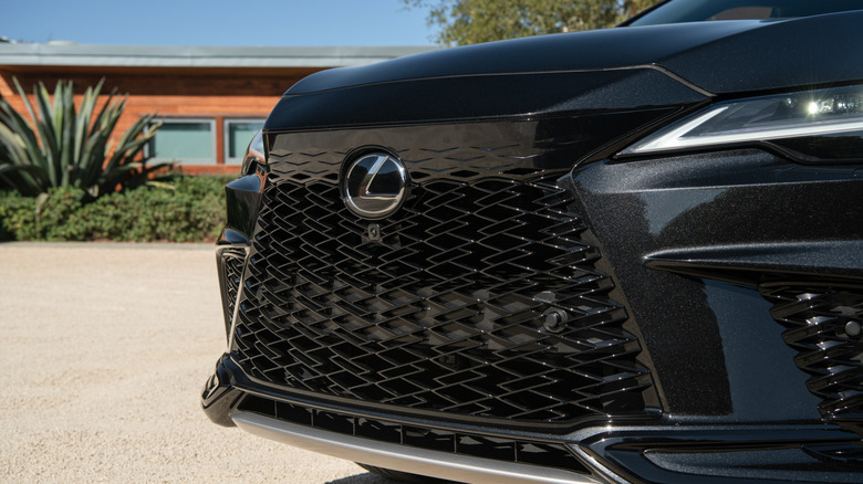 Front grille of a black Lexus RX.