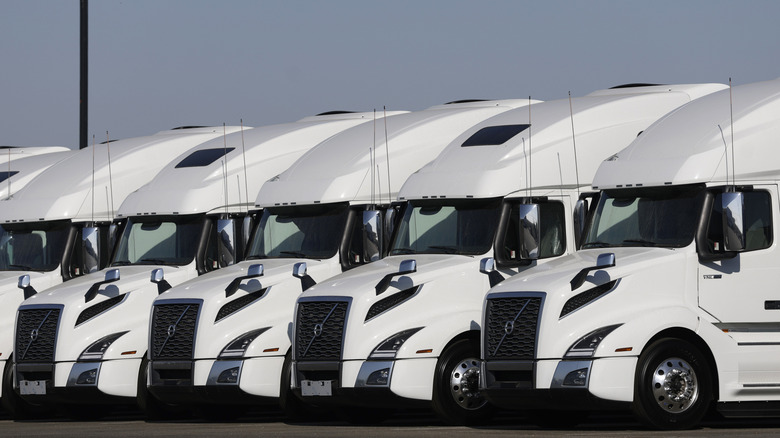 Front 3/4 view of a line of white Volvo semi-trucks