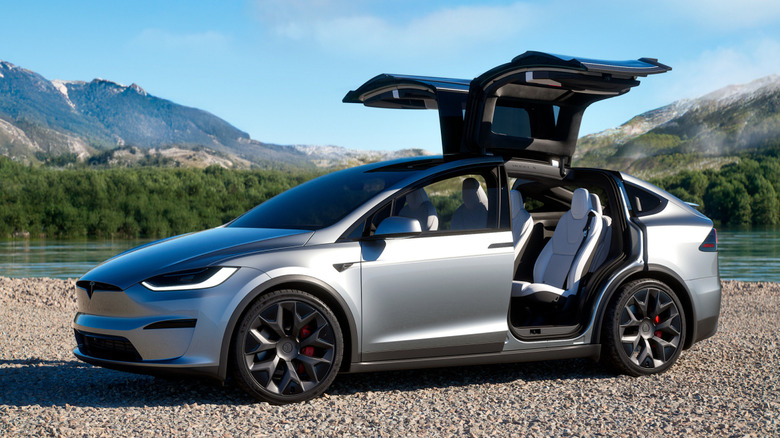Tesla Model X side doors open