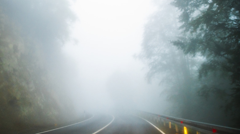 Foggy conditions while navigating a winding mountain road, with green foliage outlining the right side of the road.