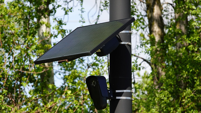 Flock safety camera attached to a pole with trees in the background.