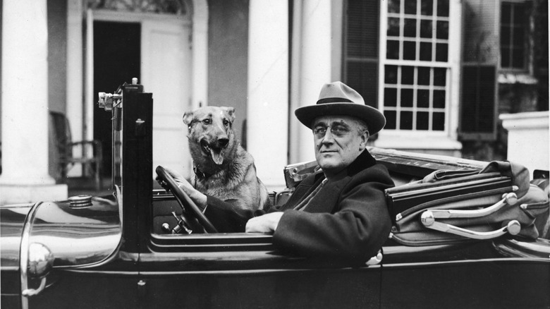 President Franklin D. Roosevelt at the wheel of a car in the 1930s