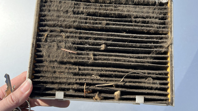 A particularly disgusting cabin air filter removed from a car