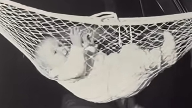 Baby in car hammock