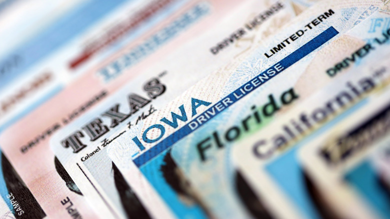 Stack of driving license cards from varying states