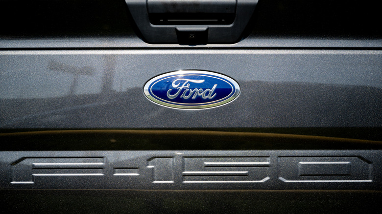A close-up of a rear tailgate of a gray Ford F-150.
