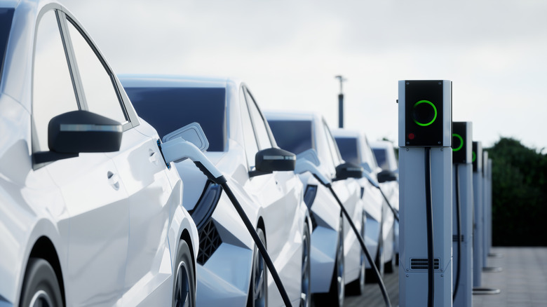 EVs lined up and plugged in at chargers