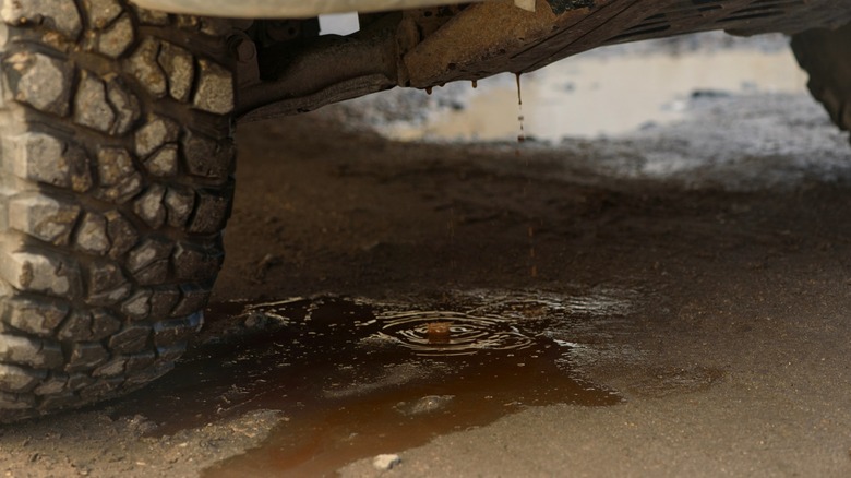 Antifreeze leaking from a vehicle onto the ground.