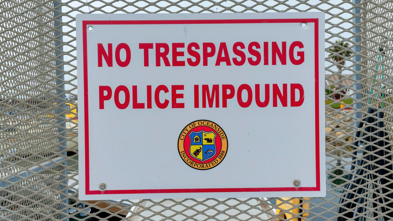 What Happens If The Car You Illegally Imported Gets Found Out