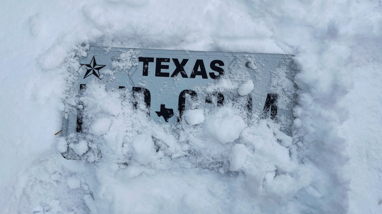 A image of a partially snow covered license plate taken during a sever 2021 winter storm in Texas