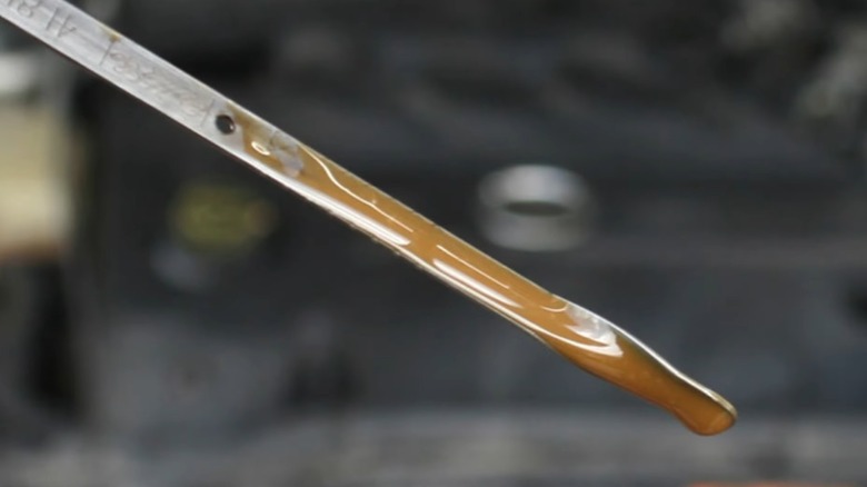 An oil dipstick with an oil and coolant mixture on it