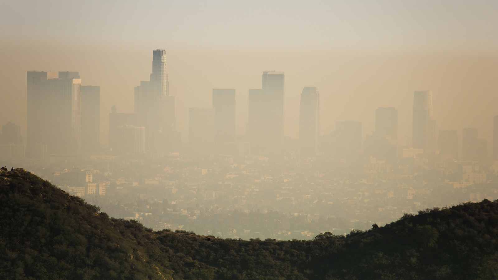 What ULEV, SULEV, And PZEV Mean, And Why They're On So Many Cars Now