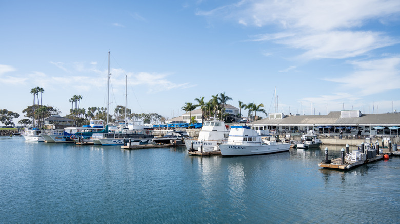 Boats parked in a marina