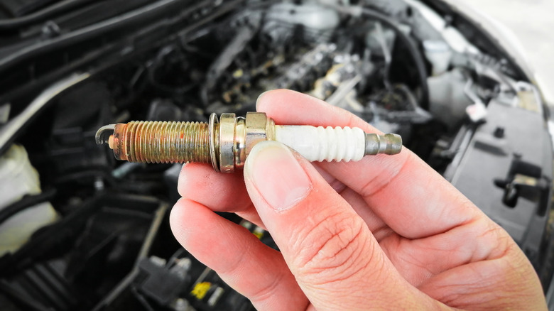 Mechanic holding a utilized spark plug