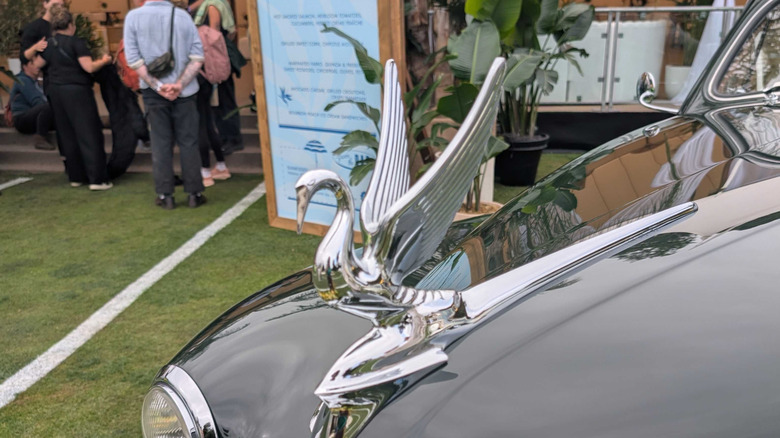 A close up of a Packard Super Eight's pelican hood ornament
