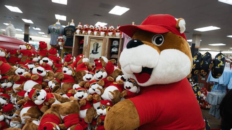 A display of Buc-ee's beaver plush toys in Springfield, Mo.
